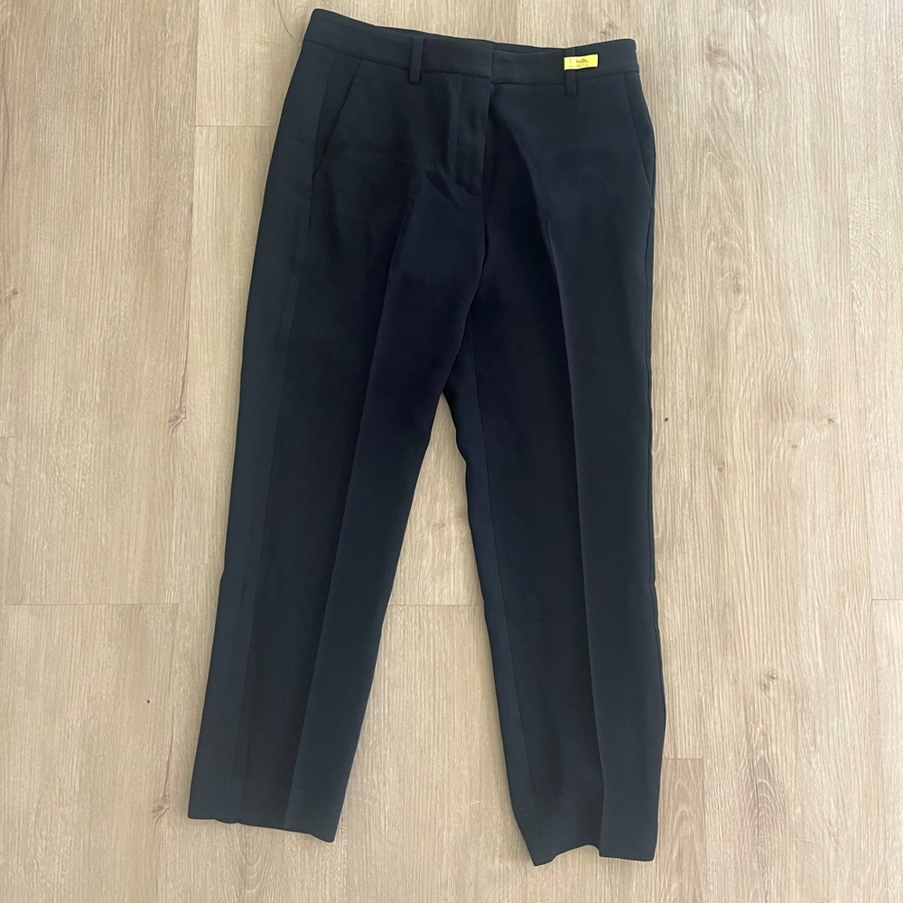 Aritzia Ankle Length Slim Pants